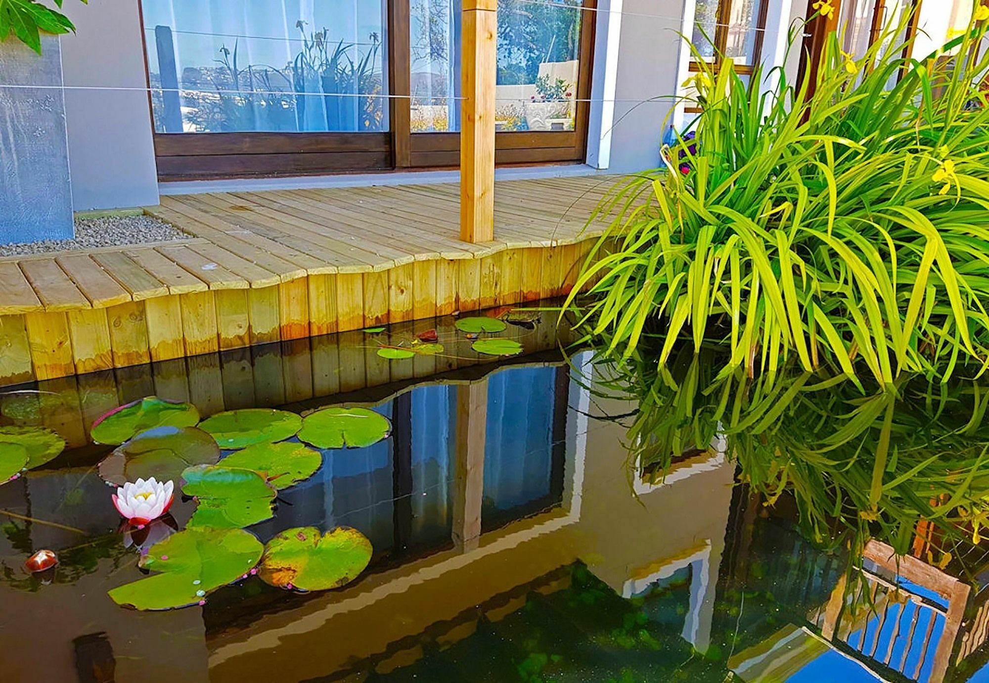 Hotel Claude Knysna Exterior foto